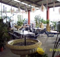 Warwicks Gardens Galore - Airlie Beach Holiday