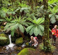 Baw Baw National Park - Airlie Beach Holiday