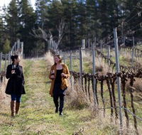 Mount Majura Vineyard - Airlie Beach Holiday