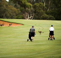 Federal Golf Club - Airlie Beach Holiday