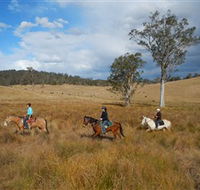 Chapman Valley Horse Riding - Airlie Beach Holiday