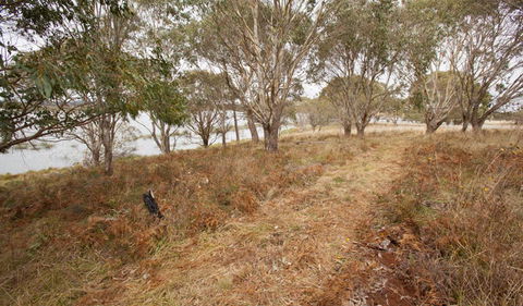 Lagoon Circuit Walking Track - Airlie Beach Holiday 1