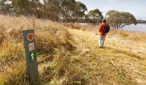 Lagoon Circuit Walking Track - Airlie Beach Holiday 2