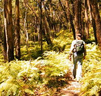 Federal Pass - Airlie Beach Holiday