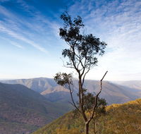 Salisbury Waters walking track - Airlie Beach Holiday