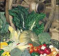 Mulgowie Real Farmers Markets - Airlie Beach Holiday