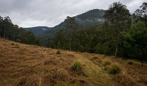 Nowendoc National Park - Airlie Beach Holiday 1
