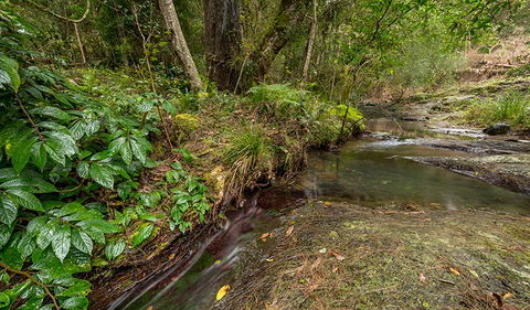 Nowendoc National Park - Airlie Beach Holiday 2