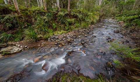 Nowendoc National Park - Airlie Beach Holiday 3