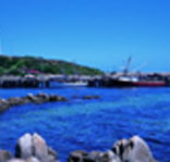 King Island Dairies - Airlie Beach Holiday