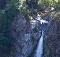 Lyrebird Falls walking track - Airlie Beach Holiday