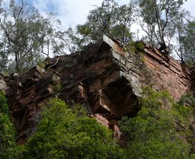 Mitchell River Walking Track - Airlie Beach Holiday 2
