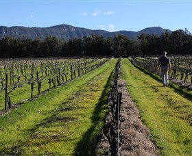 Around Hermitage Wine And Food Trail Hunter Valley - Airlie Beach Holiday 1