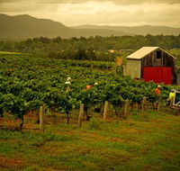 Around Hermitage Wine and Food Trail Hunter Valley - Airlie Beach Holiday