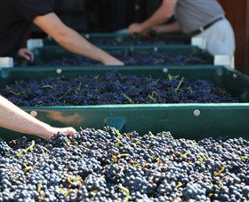 Around Hermitage Wine And Food Trail Hunter Valley - Airlie Beach Holiday 6