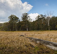Mummel Gulf National Park - Airlie Beach Holiday