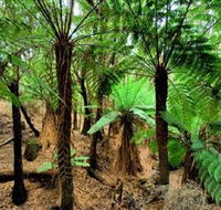 Pegarah Private Nature Reserve  Parenna Place - Airlie Beach Holiday