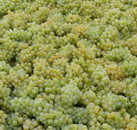 Normanby Wines - Airlie Beach Holiday