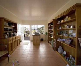 Bunna Bunoo Olive Grove - Airlie Beach Holiday 2