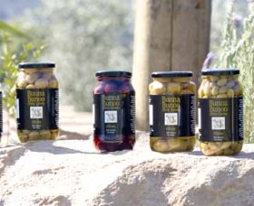 Bunna Bunoo Olive Grove - Airlie Beach Holiday 4