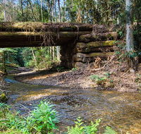 Myrtle Scrub scenic drive - Airlie Beach Holiday