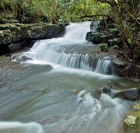 Jerusalem Creek trail - Airlie Beach Holiday
