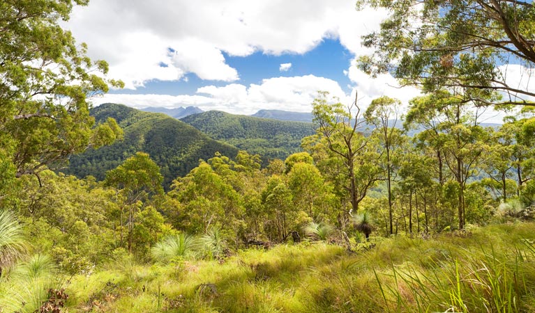 Sawpit Creek ACT Airlie Beach Holiday