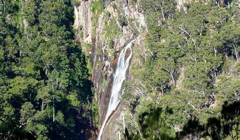 Carrai National Park - Airlie Beach Holiday 0