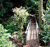 Richmond Range National Park - Airlie Beach Holiday