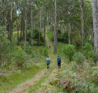 The Green Gully track - Airlie Beach Holiday