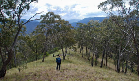 The Green Gully Track - Airlie Beach Holiday 1