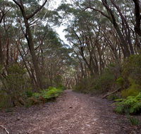 Budawang National Park - Airlie Beach Holiday
