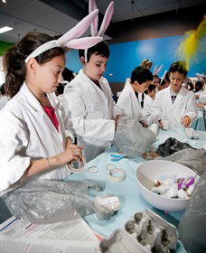 Australian Nuclear Science And Technology Organisation - Airlie Beach Holiday 1