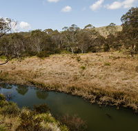 Werrikimbe National Park - Airlie Beach Holiday
