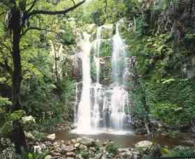 Budderoo National Park - The Falls Walk - Airlie Beach Holiday 0
