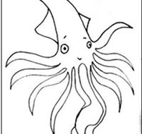 Squid Studio - Airlie Beach Holiday