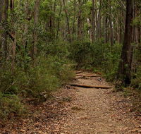 Pigeon House Mountain Didthul walking track - Airlie Beach Holiday