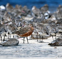 Cooloola Nature - Airlie Beach Holiday