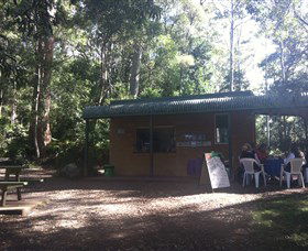 Ellenborough Falls - Airlie Beach Holiday 1