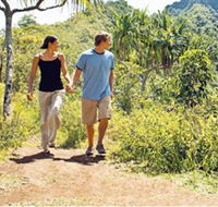 Hoddles Track - Airlie Beach Holiday