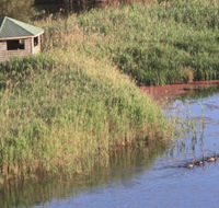 Spring Creek Bird Hide - Airlie Beach Holiday