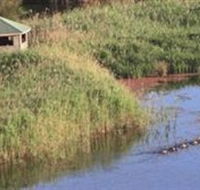 Spring Creek Wetlands Walk - Airlie Beach Holiday