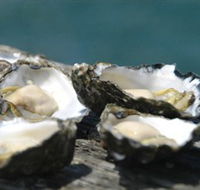 Jim Wilds Oyster Service - Airlie Beach Holiday