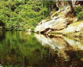 Numinbah Valley Adventure Trails - Airlie Beach Holiday 1