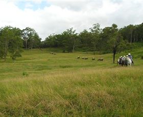 Numinbah Valley Adventure Trails - Airlie Beach Holiday 0