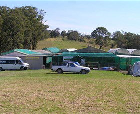 Tinonee Orchid Nursery - Airlie Beach Holiday 0