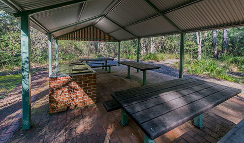 Brimbin Nature Reserve - Airlie Beach Holiday 1