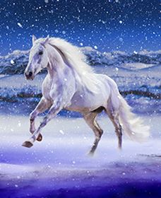 Australian Outback Spectacular: High Country Legends - Airlie Beach Holiday 1