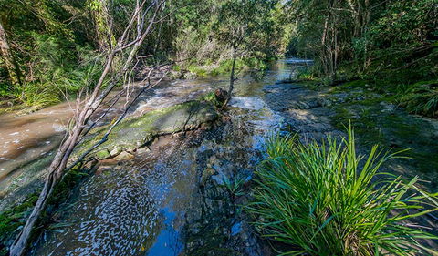 Dawson River Walking Track - Airlie Beach Holiday 0