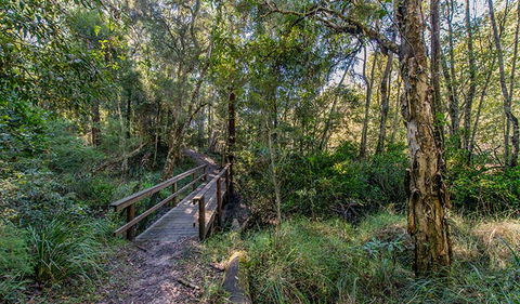 Dawson River Walking Track - Airlie Beach Holiday 1